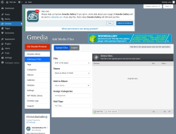 Page screenshot: Gmedia → Add/Import Files