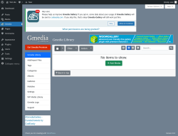 Page screenshot: Gmedia