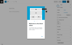 Page screenshot: Add New Post ‹ Test site — WordPress