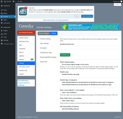 Page screenshot: Gmedia → Settings