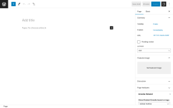 Page screenshot: Add New Page ‹ Test site — WordPress