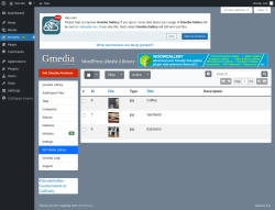 Page screenshot: Gmedia → WP Media Library