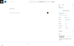 Page screenshot: Add Post ‹ Test site — WordPress