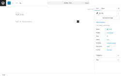 Page screenshot: Add Post &lsaquo; Test site &mdash; WordPress