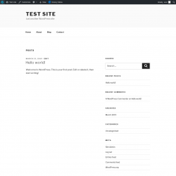 Page screenshot: Test site &ndash; Just another WordPress site