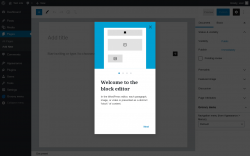 Page screenshot: Add New Page &lsaquo; Test site &mdash; WordPress