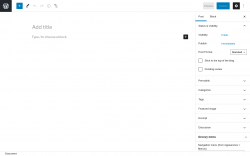 Page screenshot: Add New Post &lsaquo; Test site &mdash; WordPress