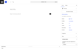 Page screenshot: Add Post &lsaquo; Test site &mdash; WordPress