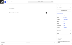Page screenshot: Add Post &lsaquo; Test site &mdash; WordPress