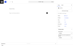 Page screenshot: Add Page &lsaquo; Test site &mdash; WordPress