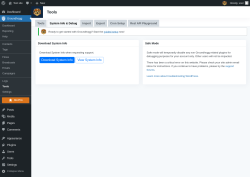 Page screenshot: Groundhogg &rarr; Tools &rarr; System Info & Debug