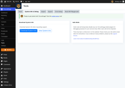 Page screenshot: Groundhogg &rarr; Tools &rarr; System Info & Debug