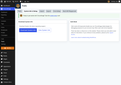 Page screenshot: Groundhogg &rarr; Tools &rarr; System Info & Debug