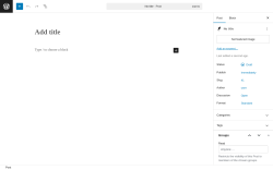 Page screenshot: Add Post ‹ Test site — WordPress