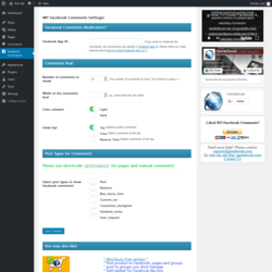 Page screenshot: Facebook Comments