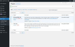Page screenshot: Plugins ‹ Test site — WordPress