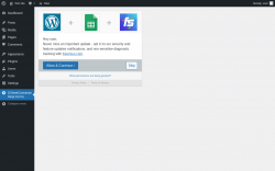 Page screenshot: GSheetConnector Ninja Forms ‹ Test site — WordPress
