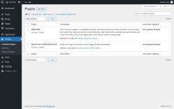 Page screenshot: Plugins ‹ Test site — WordPress