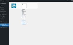 Page screenshot: Ninja Forms GSheetConnector ‹ Test site — WordPress