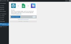 Page screenshot: Ninja Forms GSheetConnector ‹ Test site — WordPress