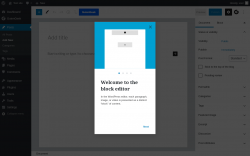 Page screenshot: Add New Post &lsaquo; Test site &mdash; WordPress