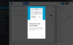 Page screenshot: Add New Post &lsaquo; Test site &mdash; WordPress