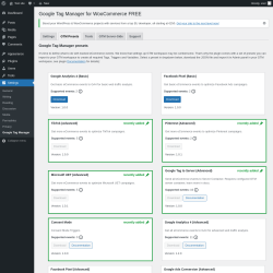 Page screenshot: Settings → Google Tag Manager → GTM Presets