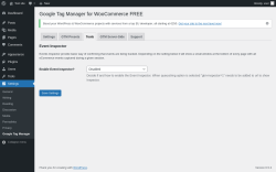 Page screenshot: Settings → Google Tag Manager → Tools