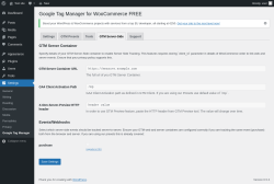 Page screenshot: Settings → Google Tag Manager → GTM Server-Side