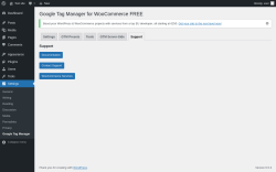 Page screenshot: Settings → Google Tag Manager → Support