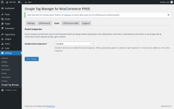 Page screenshot: Settings → Google Tag Manager → Tools