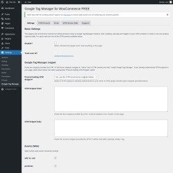 Page screenshot: Settings → Google Tag Manager