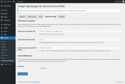 Page screenshot: Settings → Google Tag Manager → GTM Server-Side