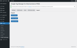 Page screenshot: Settings → Google Tag Manager → Support