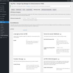 Page screenshot: Settings → Google Tag Manager → GTM Server-Side
