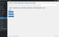 Page screenshot: Settings → Google Tag Manager → Support