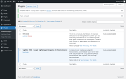 Page screenshot: Plugins ‹ Test site — WordPress