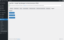 Page screenshot: Settings → Google Tag Manager → Support