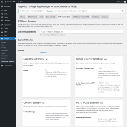 Page screenshot: Settings → Google Tag Manager → GTM Server-Side