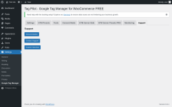 Page screenshot: Settings → Google Tag Manager → Support