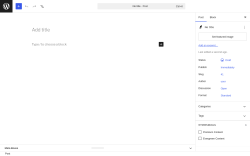 Page screenshot: Add Post &lsaquo; Test site &mdash; WordPress