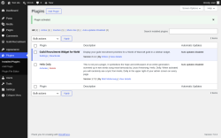 Page screenshot: Plugins &lsaquo; Test site &mdash; WordPress