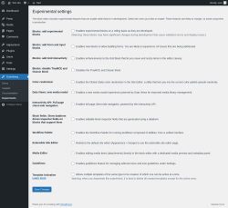 Page screenshot: Gutenberg &rarr; Experiments