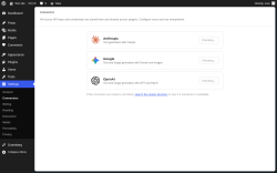 Page screenshot: Settings &rarr; Connectors