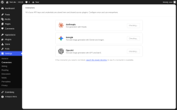 Page screenshot: Settings &rarr; Connectors