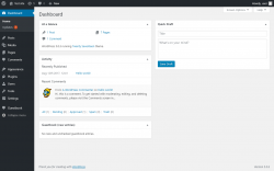 Page screenshot: Dashboard ‹ Test site — WordPress