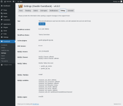 Page screenshot: Guestbook → Settings → 
				Debug			