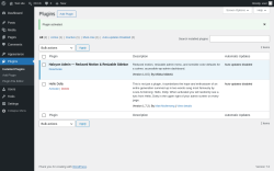 Page screenshot: Plugins &lsaquo; Test site &mdash; WordPress