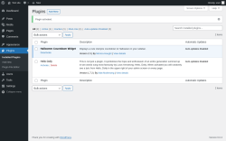 Page screenshot: Plugins &lsaquo; Test site &mdash; WordPress