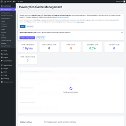 Page screenshot: Havenlytics &rarr; Cache